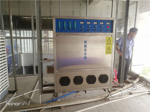 養(yǎng)殖場污水處理器價格 河北養(yǎng)殖場污水處理器 藍奧專業(yè)臭氧生產(chǎn)