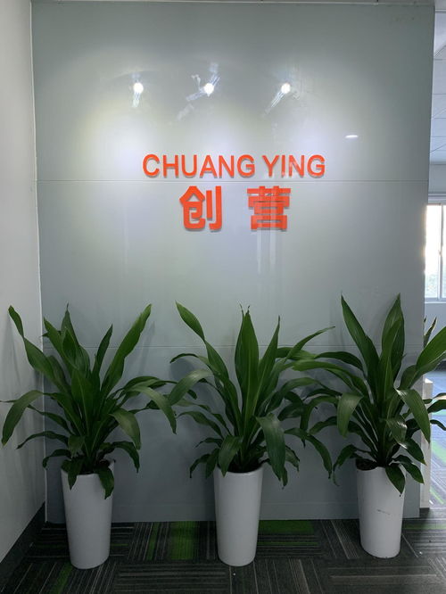 深圳市創(chuàng)營(yíng)網(wǎng)絡(luò)科技